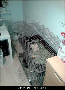 Projekt Wohnzimmer-Kaninchenstall-22.jpg