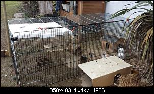 Klicke auf die Grafik f�r eine gr��ere Ansicht

Name:	1523432_271122909711128_1386235531_o.jpg
Hits:	276
Gr��e:	104,4 KB
ID:	27393