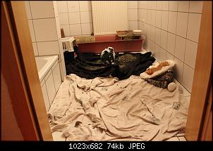 Ist mein Innengehege zu klein F�r meinen Pauli?-img_1684.jpg