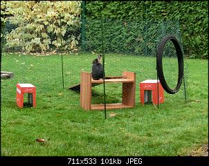 Flexibler Auslauf f�r mittelgro�e Rassen-cimg0148.jpg