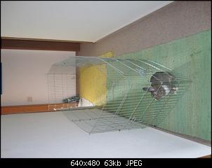 Innengehege Foto-Sammlung: Macht alle mit...-img_8538-small-.jpg
