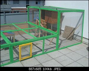 Wie hoch kann ein Kaninchen max. springen?-dscf3458.jpg