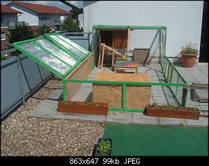 Wie hoch kann ein Kaninchen max. springen?-dscf3462.jpg