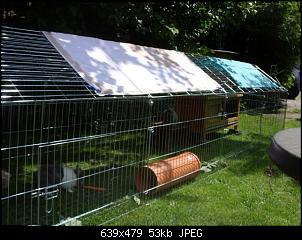 Stabile Umz�unungen???-sdc12927-small-.jpg