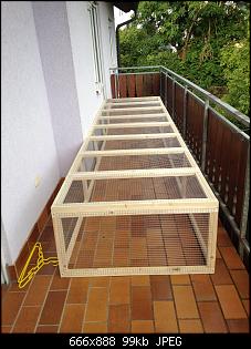 Mardersicher?-img_9698.jpg