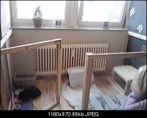 unser Innengehege-p150910_18.28.jpg