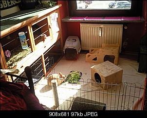 Gro� genug?-foto0225.jpg