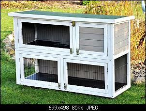 Mein erstes Kaninchen, brauche Tipps-30805-1.jpg