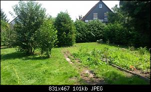 Kaninchen frei halten im Garten?-20140727_124739.jpg