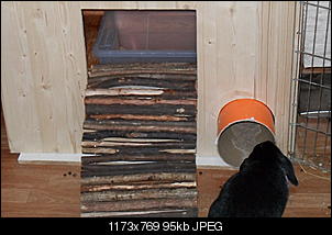 bilder von meiner neuen buddelkiste-sdc11296.jpg