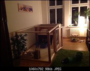 Innengehege Foto-Sammlung: Macht alle mit...-image.jpg