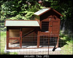 Ger�umige H�tte statt kaninchenstall????-schreiben-neues-gehege-009-small-.jpg