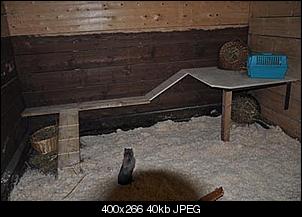 Komplettplanung Innen- & Au�engehege Teil 2-019.jpg