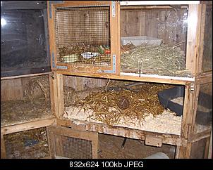 Fotos-hasen-2010-003.jpg