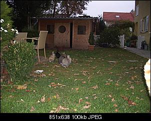 Fotos-hasen-2010-008.jpg