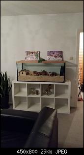 Innengehege Foto-Sammlung: Macht alle mit...-obelix.jpg
