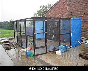 H�tte ja oder nein ???-s4or9x%5B1%5D.jpg