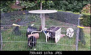 Au�engehege [Planung] - Antworten und Anregungen bitte =]-20150819_130211.jpg