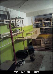 Nachtgehege in der Garage-img_20151031_183603.jpg