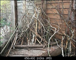 Au�engehege, Fragen und Planung.-img_4128.jpg