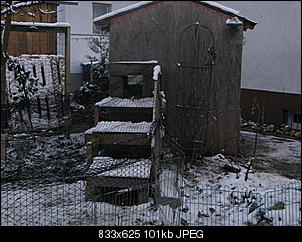 Eure Gehege-20101127_0070.jpg