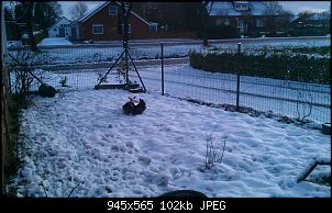 Gartenfreilauf noch gew�hren?-imag0952.jpg