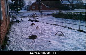 Gartenfreilauf noch gew�hren?-imag0953.jpg