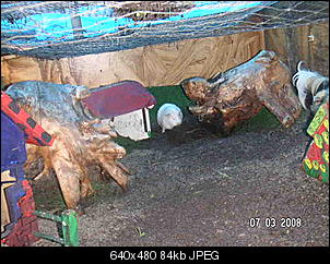 Kanincheneinrichtung-Wurzel-inhalt0028a9d1.jpg