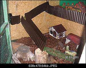 Umbau,oder wie man aus ein ehemaligen Flachbau ein Begehbares Gehege  baut-pict3251.jpg