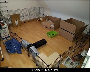 "Rabbit grids" oder Alternativen dazu?-screenshot_1.jpg