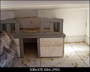 Der Bau des Anbaues hat begonnen-etage-unten-stall-alt-1.jpg