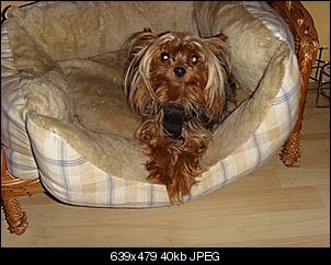 Der Bau des Anbaues hat begonnen-si851549.jpg