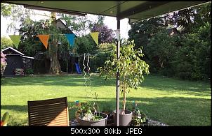 Anf�nger baut Gehege, Tips erw�nscht-0055474f-0e6b-45a2-89c7-43ced14cef9a.jpeg