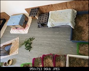 Innengehege mit Streu auslegen-img_3300-custom-.jpg