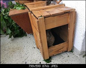 H�ttengr��e-img_2392.jpg