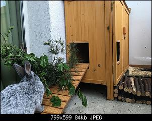 Hüttengröße-img_2396.jpg