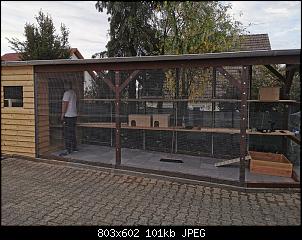 Gehege auf mehreren Ebenen-img-20200511-wa0001.jpg
