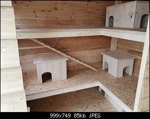 Gehege auf mehreren Ebenen-img-20200511-wa0002.jpg