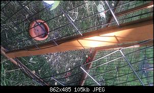 R�tselhafter Ausbruch-gitter_2.jpg
