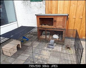 Stall mit Freigehege auch nachts m�glich?-b800.jpg