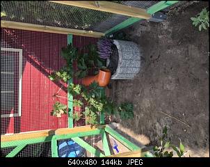 Kaninchenstall im Aufbau-1a12af7c-4861-4121-83e0-7dd1f58bd2e2.jpeg