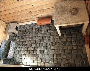 Kaninchenstall im Aufbau-0f6f48af-b566-417a-bd1b-f0c18342a43c.jpeg