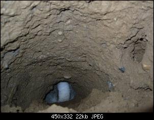 R�hrendurchmesser f�r Riesenkaninchen-graue-tunnel.jpg
