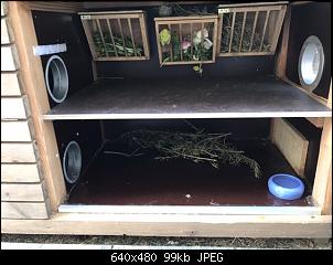 Stall aus Siebdruck Platten?-5714b539-0311-4bfc-8632-f99e4e978762.jpeg