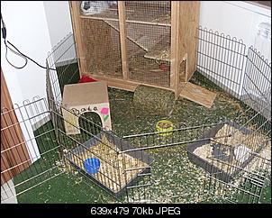 Unser Gehege im Wohzimmer-sl381004.jpg