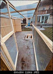 Unser neues Gehege im Garten-c21bfcd3-8fab-43b1-9b96-2a4c60ebbc81.jpg