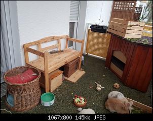Unser Balkongehege-balkon-links.jpg