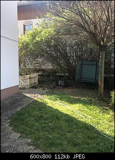 Kaninchen Au�engehege Neubau mit vielen Fragen-2915d391-a3d5-4091-9adb-f4814354fb9e.jpg