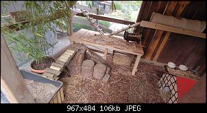 Kaninchengehege und Gartenfreilauf-20220510_184430-min.jpg