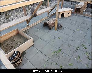 Kaninchenstall und Gehege -- Planungshilfe ---img_20220923_180124.jpg